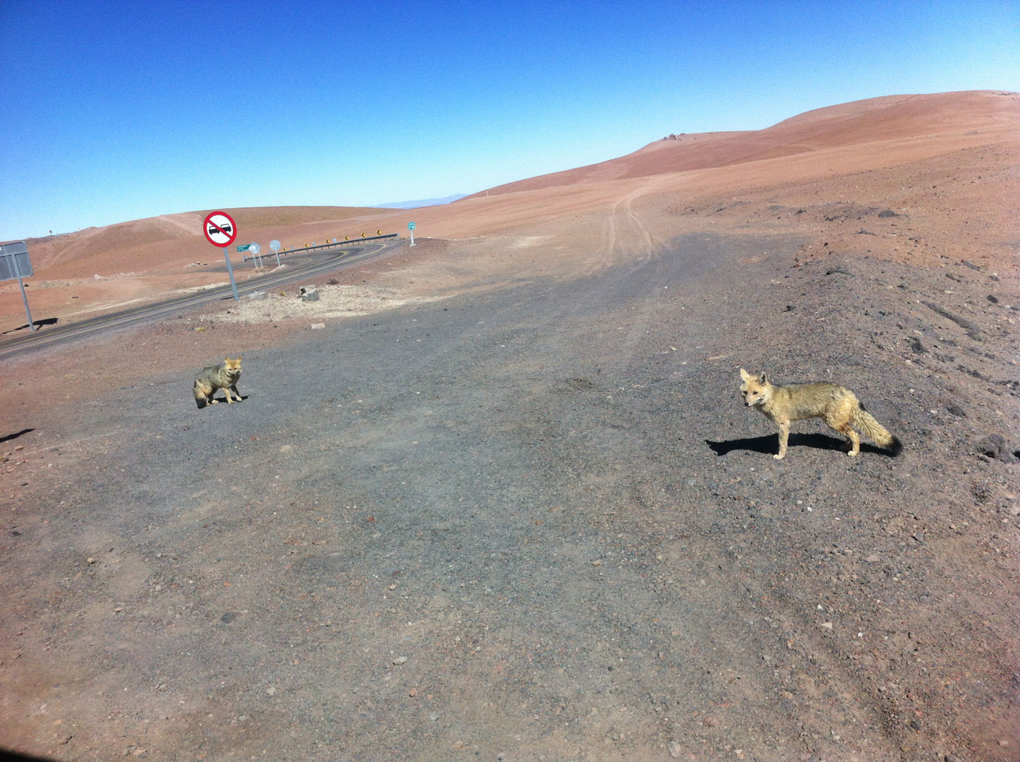 Atacama e Salar Uyuni 6
