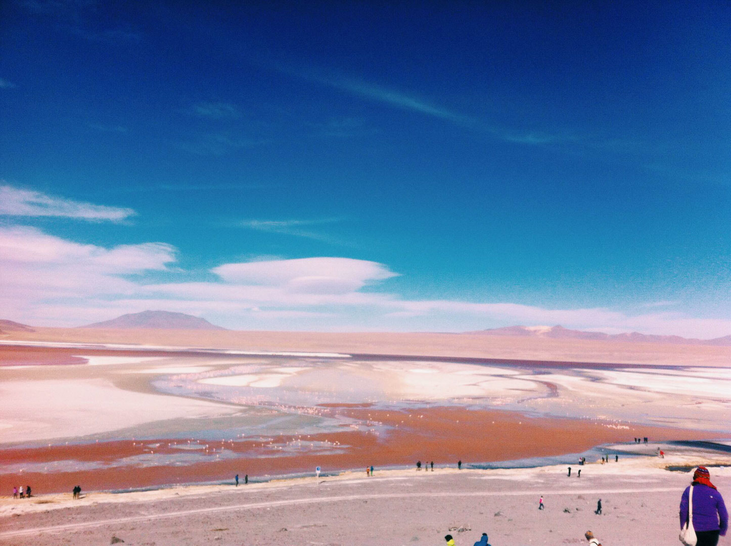O deserto e a beleza que balança 2