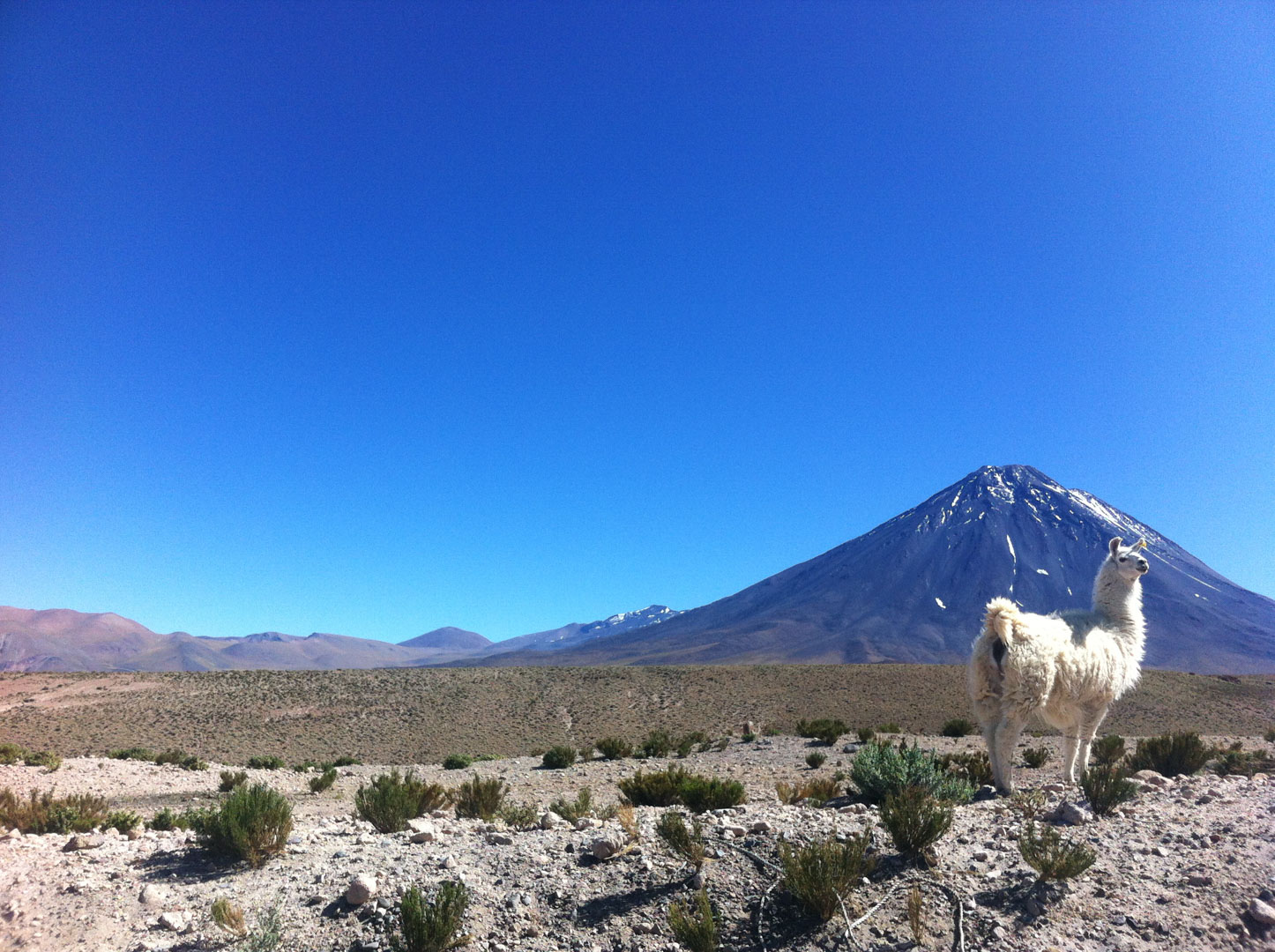 O deserto e a beleza que balança 6