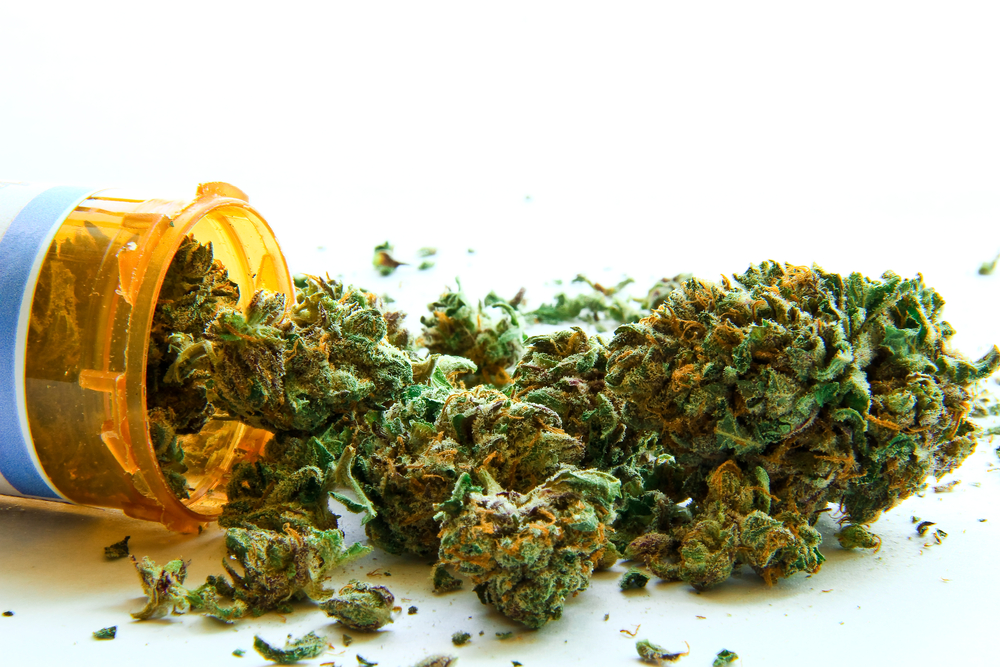 farmacias-uruguaias-comecam-a-vender-maconha-em-junho-5
